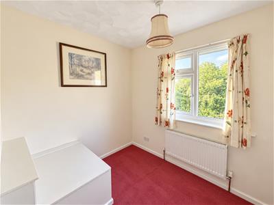 Picture 20